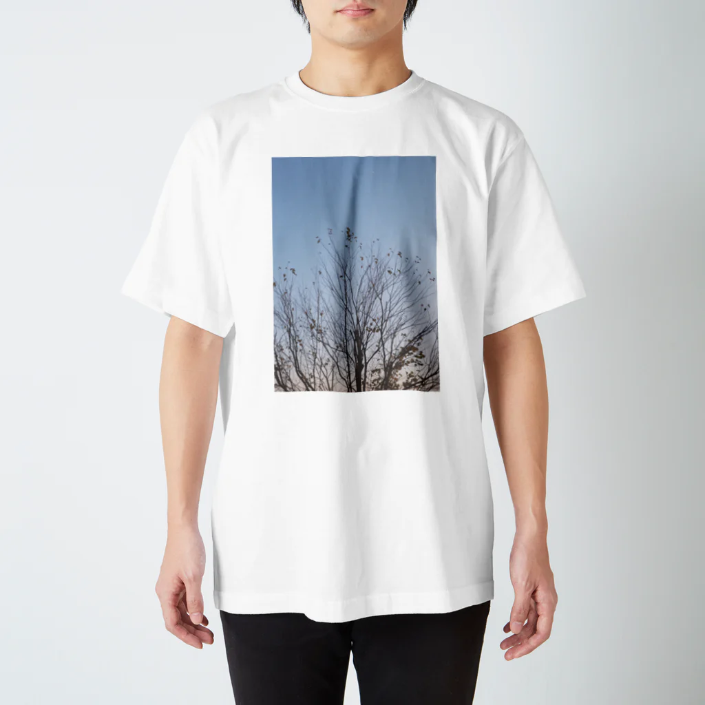 18yearsoldのフィルム写真　 スタンダードTシャツ