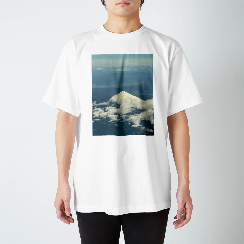 shachi3_dの雪化粧 スタンダードTシャツ