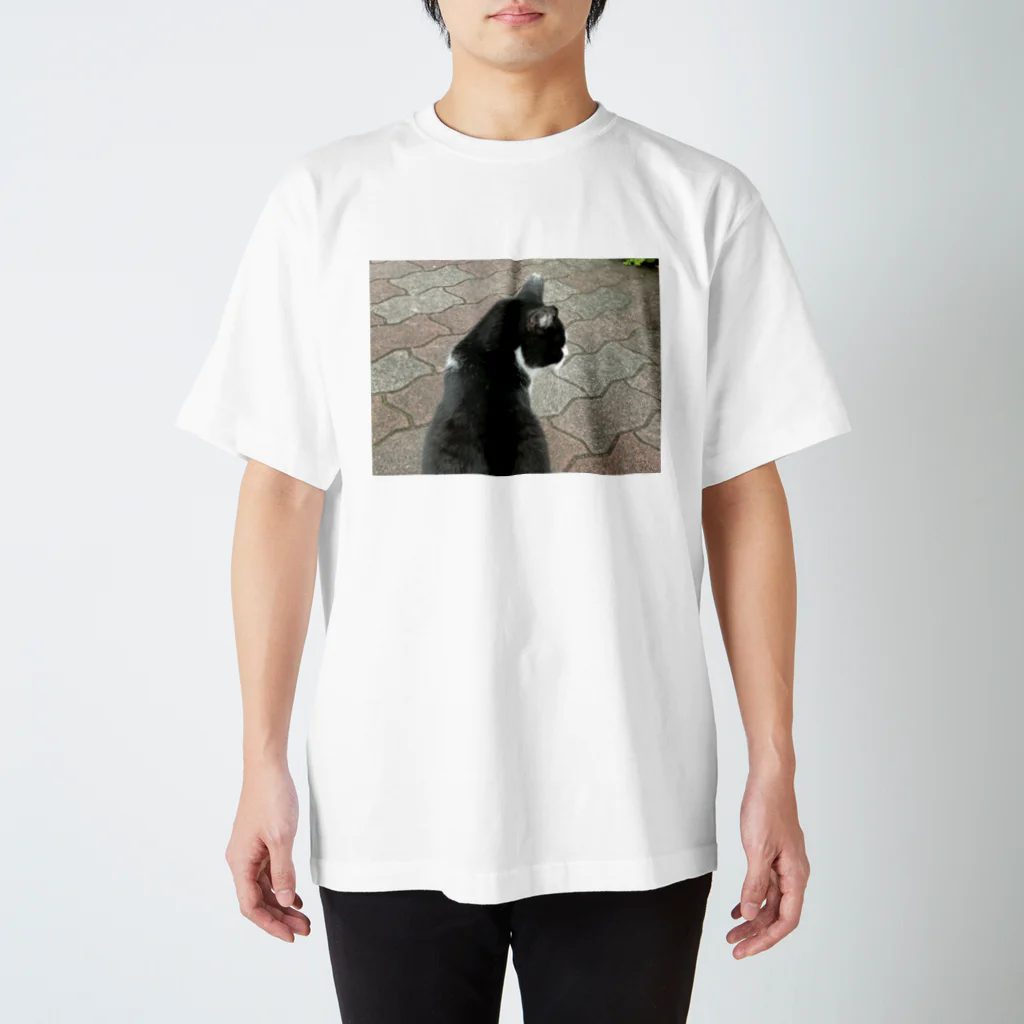 neko_00_nekoの猫さん スタンダードTシャツ