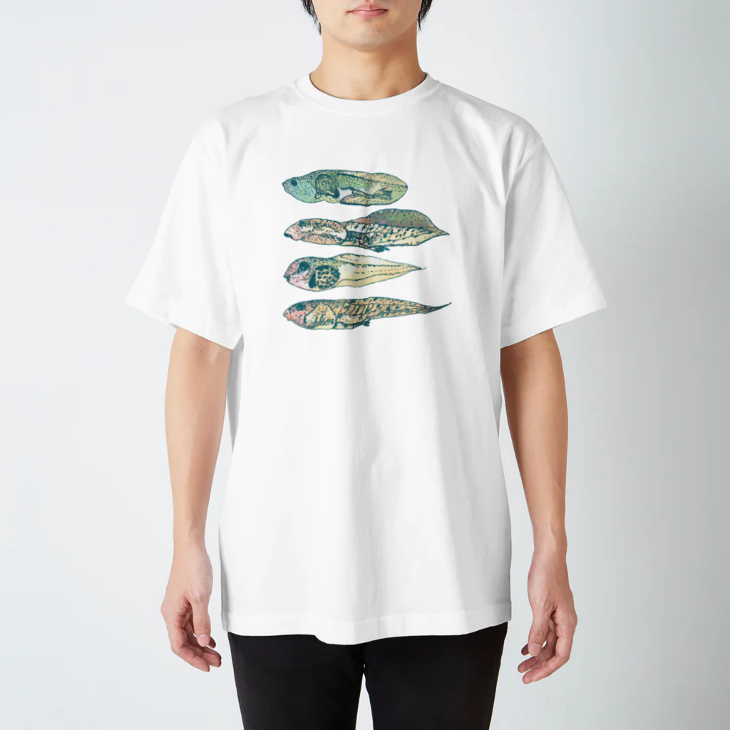 さちこの生物雑貨のおたま Regular Fit T-Shirt