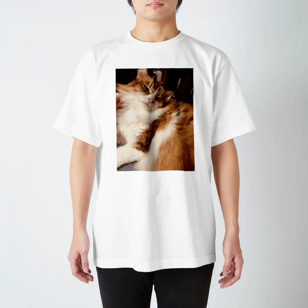 いぬたゃのねこ Regular Fit T-Shirt