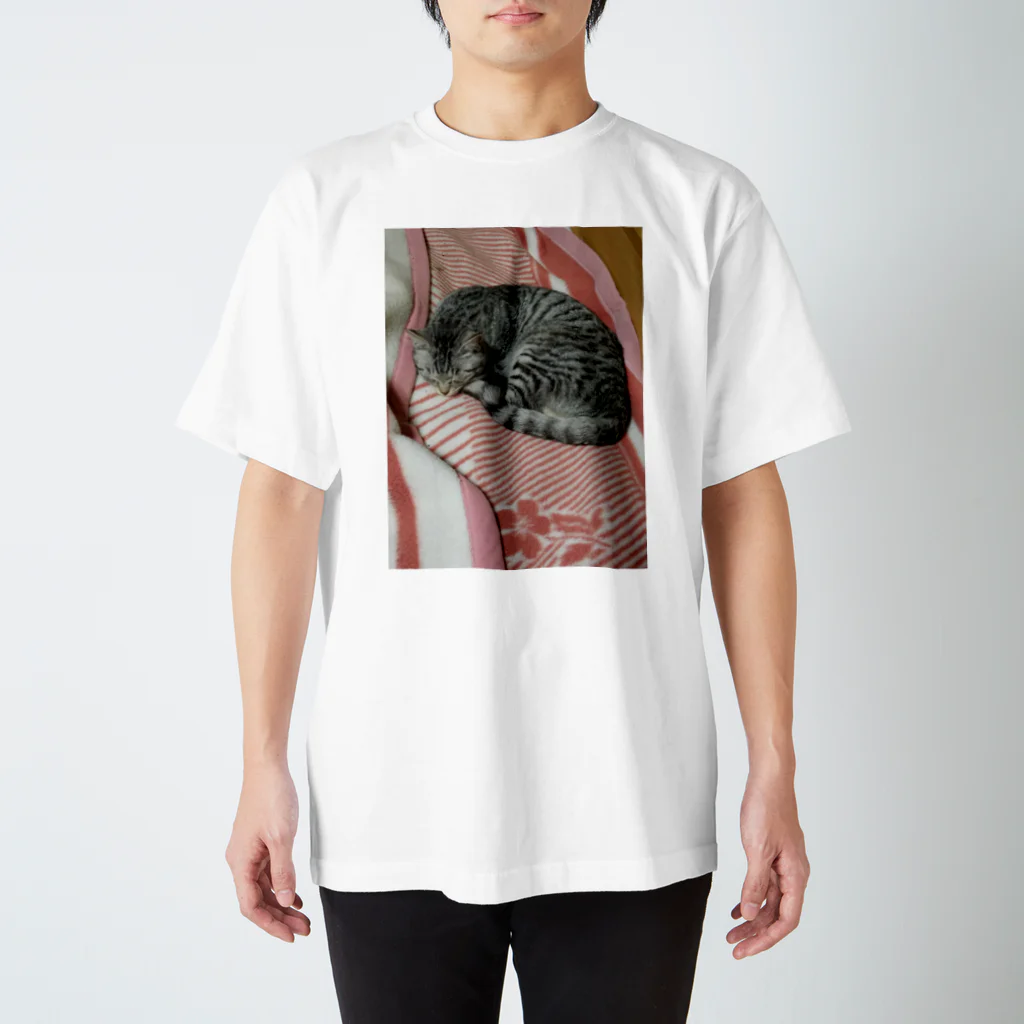 コメディアンホラーニシヤマショップの実家の猫 Regular Fit T-Shirt