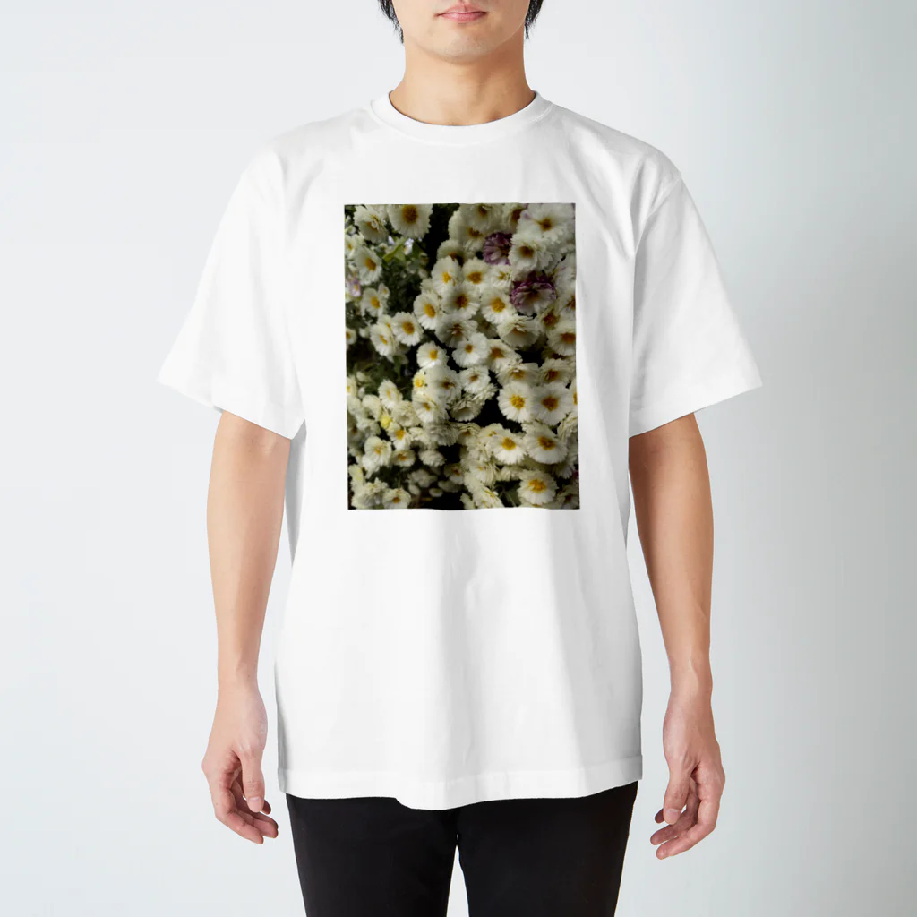 PhotoCollé フォトコラージュの菊 Regular Fit T-Shirt