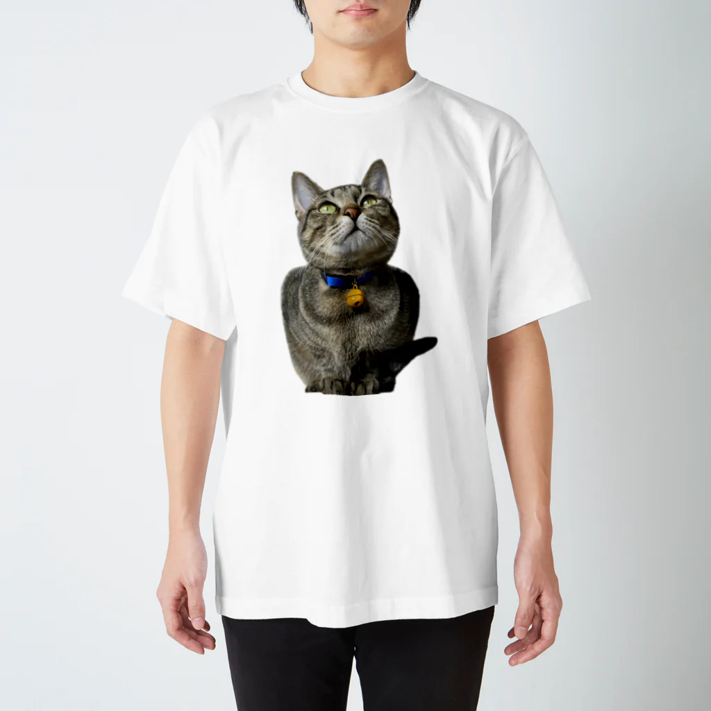 おぬしちゃんのフクロウ猫なんじ スタンダードTシャツ