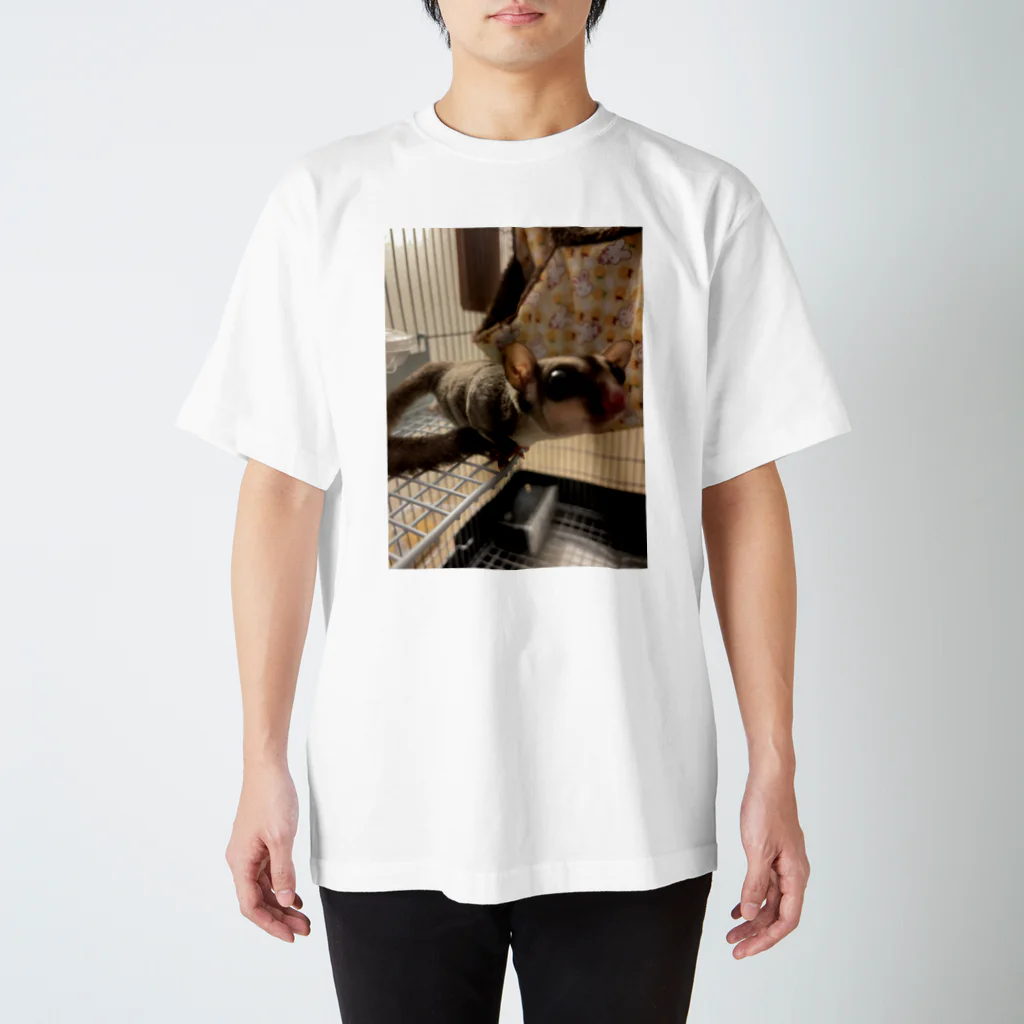 モモンガとハムちゃんのフクモモのギズモ Regular Fit T-Shirt