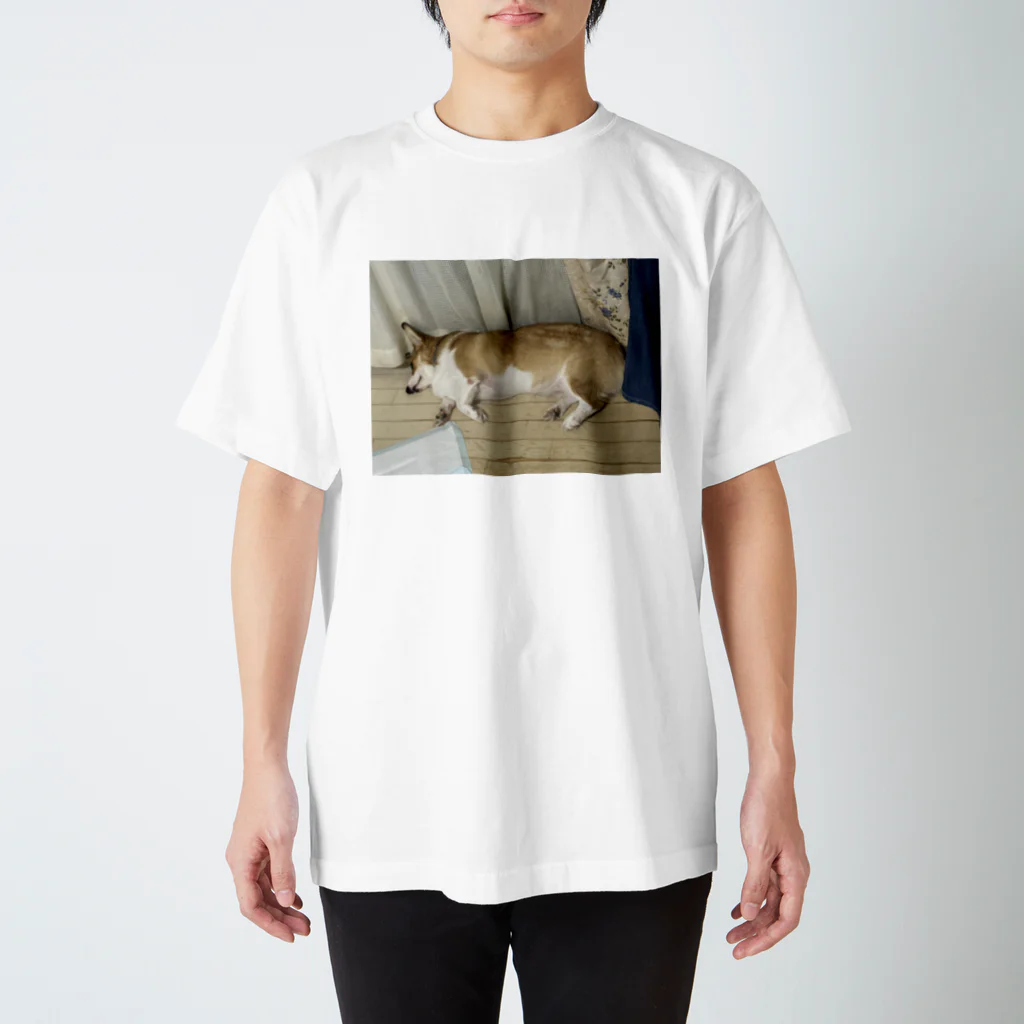 聞く耳ねこのお店のこぎまる Regular Fit T-Shirt