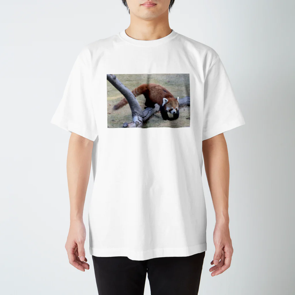 アレックス⚽🏀🍣のレッサーパンダ スタンダードTシャツ