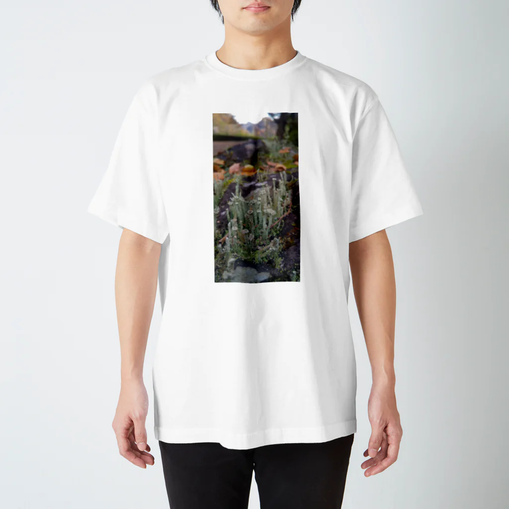 ミクロの地衣類ちゃん Regular Fit T-Shirt