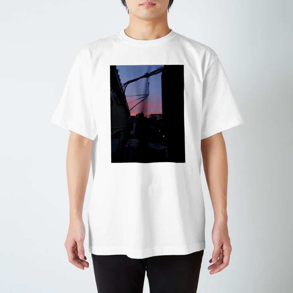 かえるの家の女心の秋の空 スタンダードTシャツ