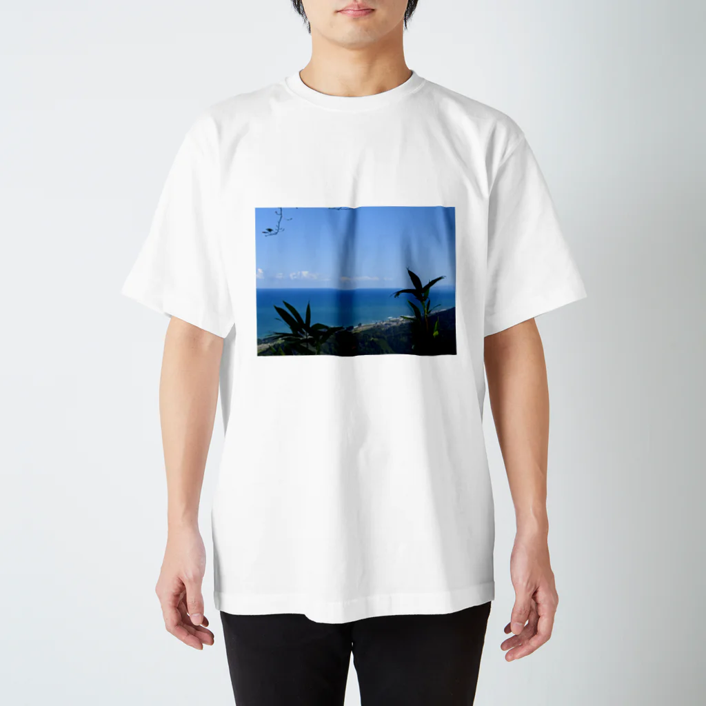 ヨシヨシの綺麗な景色 スタンダードTシャツ