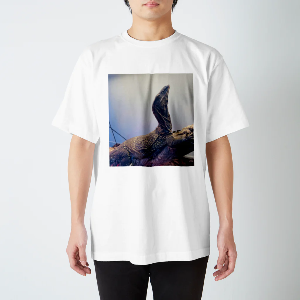 tamagorori__の2011.11アマタロ Regular Fit T-Shirt