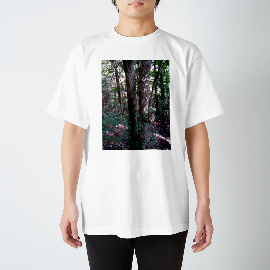 墓のガチの山 スタンダードTシャツ