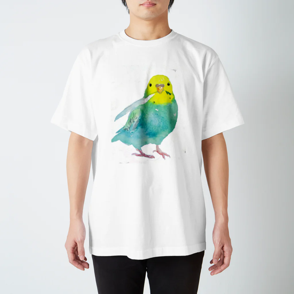 kadoBIRDの水彩セキセイ 티셔츠