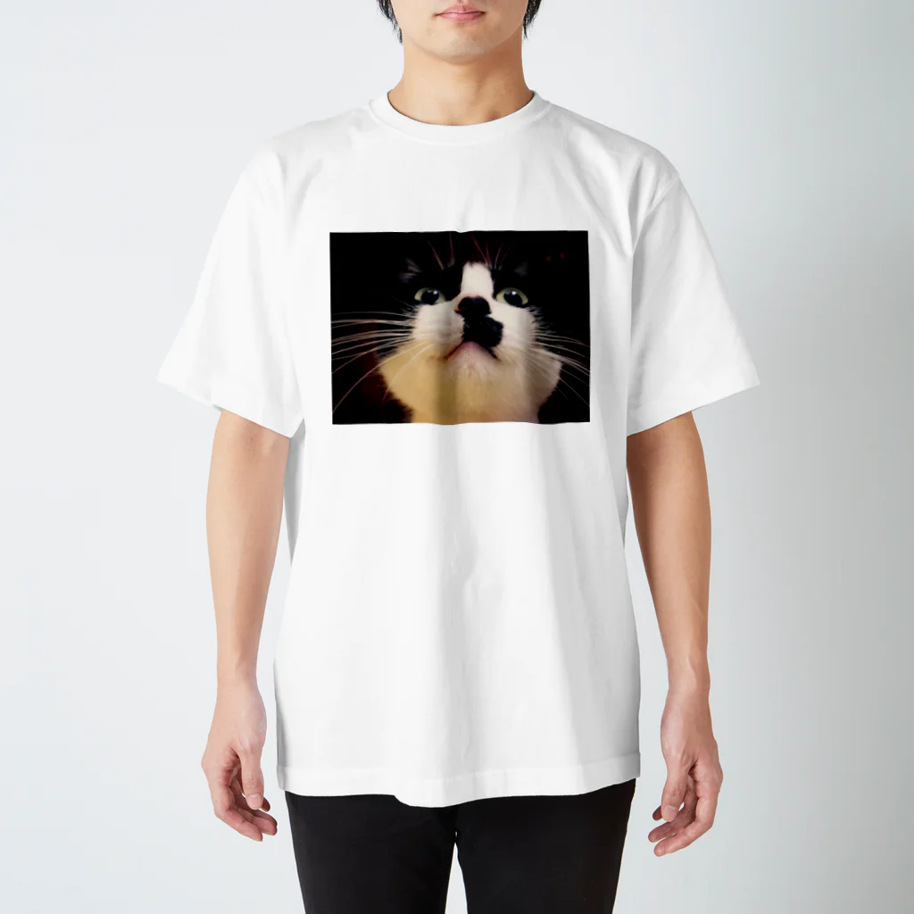 ひょうたん翠のミッチャン（ドアップ） Regular Fit T-Shirt