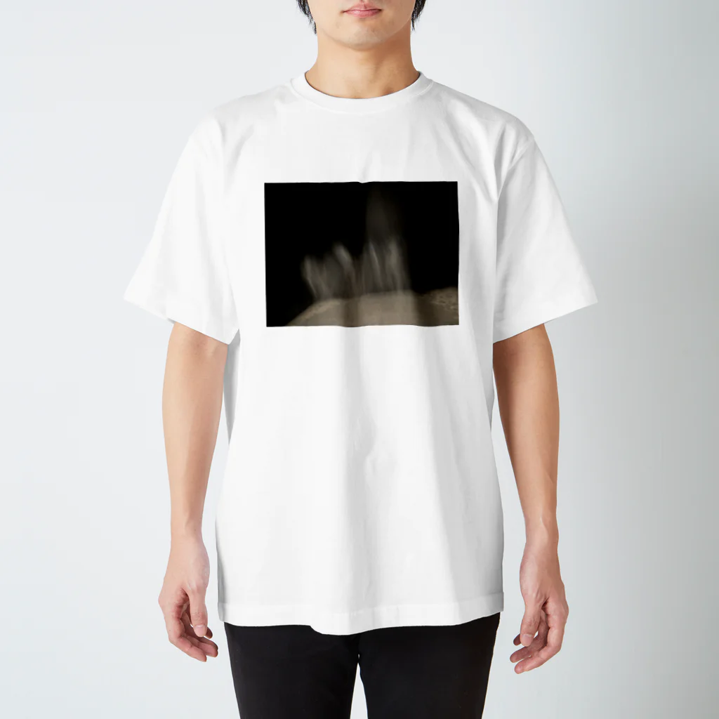 枠T専門店『Frame』の写真枠T/幻想 Regular Fit T-Shirt