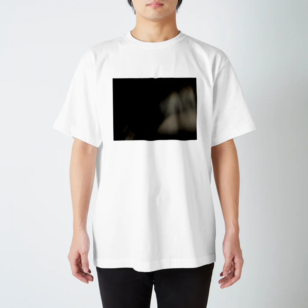 枠T専門店『Frame』の写真枠T/ふわりとした何か スタンダードTシャツ