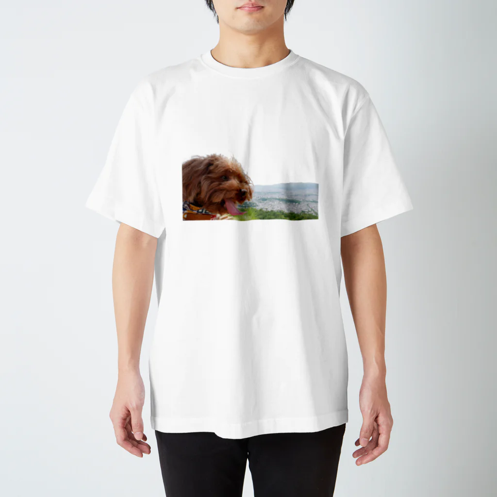KAKA's Createのハリー山に登る スタンダードTシャツ