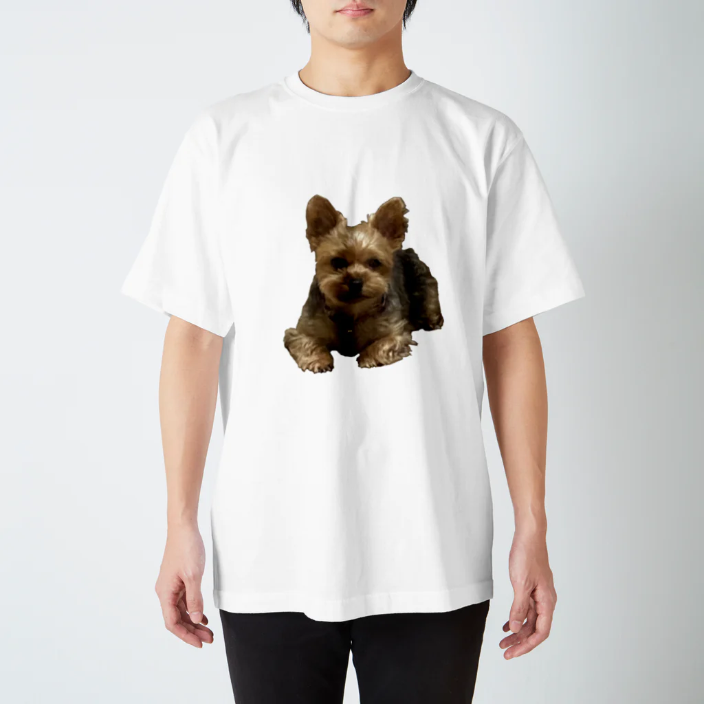 フランスパンの端くれの画質悪めな犬 スタンダードTシャツ