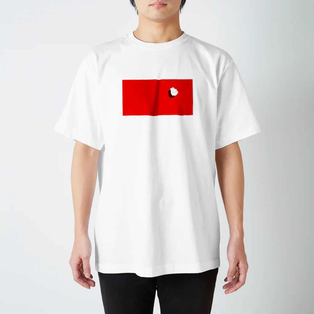 nsnのNUI スタンダードTシャツ