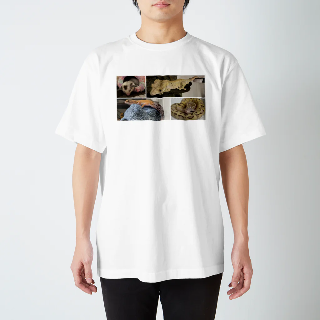 一重しじみの我が家 Regular Fit T-Shirt