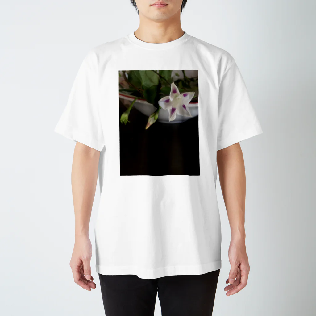 ヘンコジ物販の花とつぼみちゃん スタンダードTシャツ