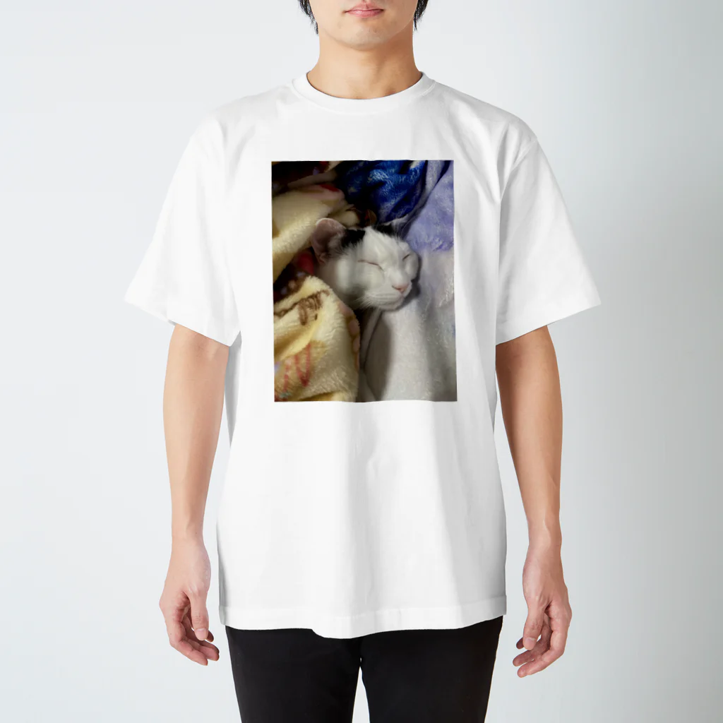 かペ＆うしお猫もふもふの雨汐ちゃん Regular Fit T-Shirt