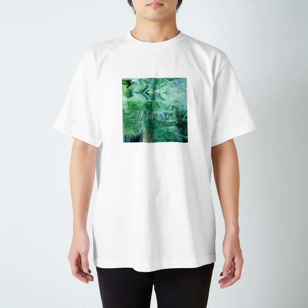 大眠家-ﾀｲﾐﾝｹ-の水草とコリドラス Regular Fit T-Shirt