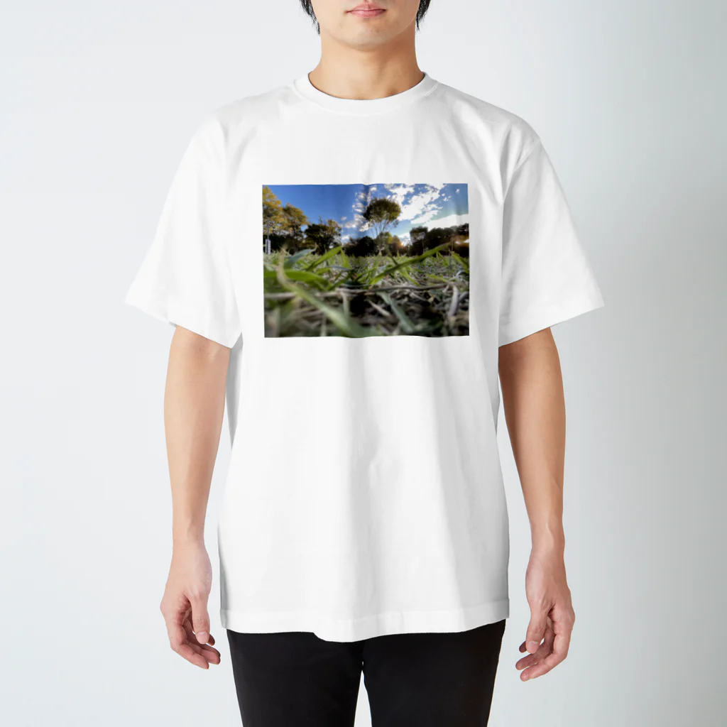 ぼくこくぼのアリ目線の芝生・青空 スタンダードTシャツ