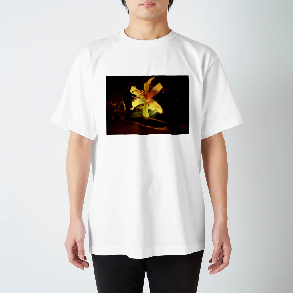 Y-Tの輝け花よ スタンダードTシャツ