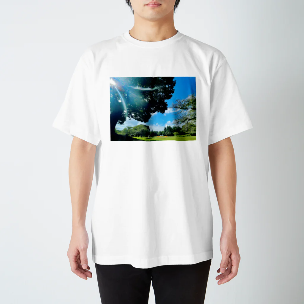 ぼくこくぼの木漏れ日と芝生と空 Regular Fit T-Shirt