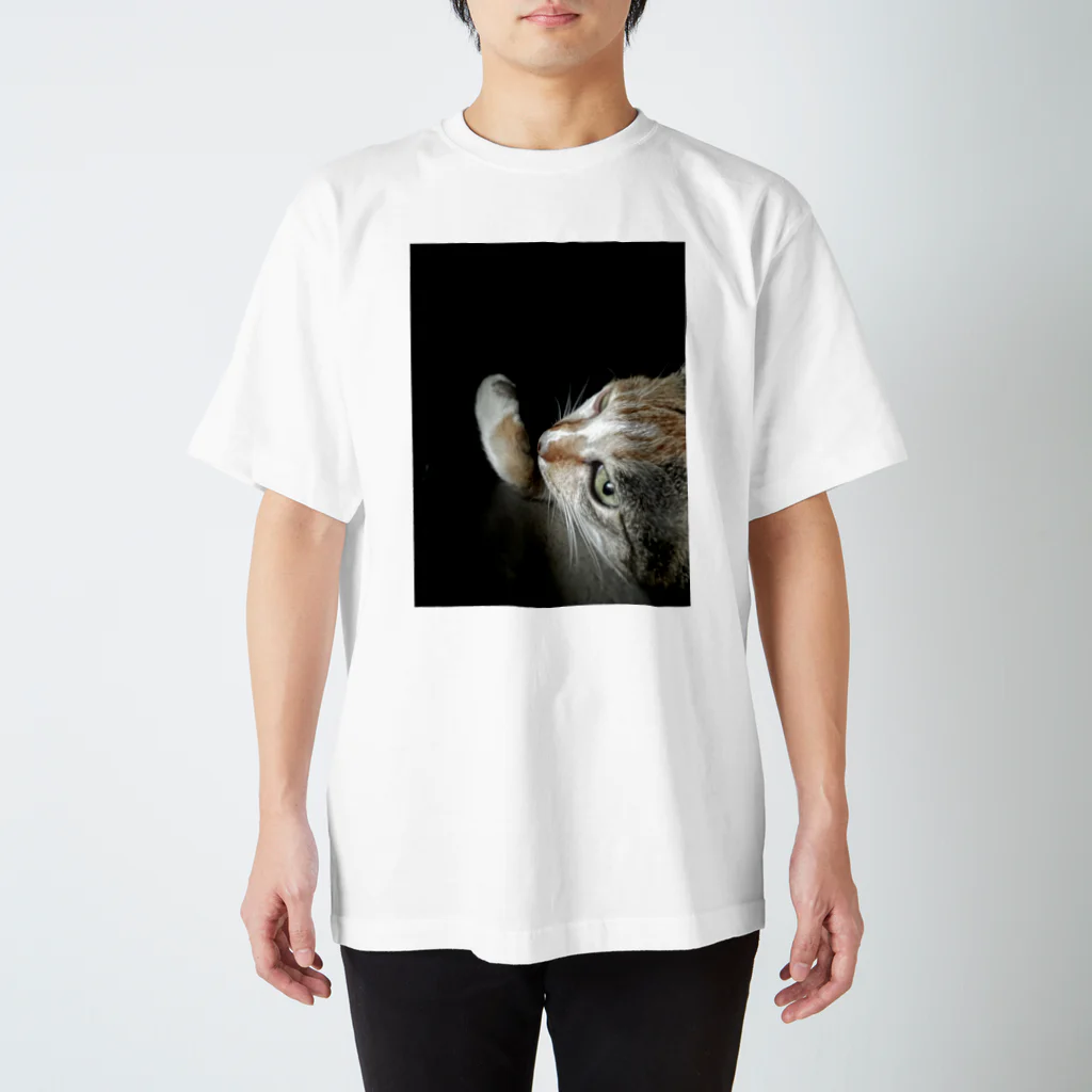 アウトロマンスの森の月音 Regular Fit T-Shirt