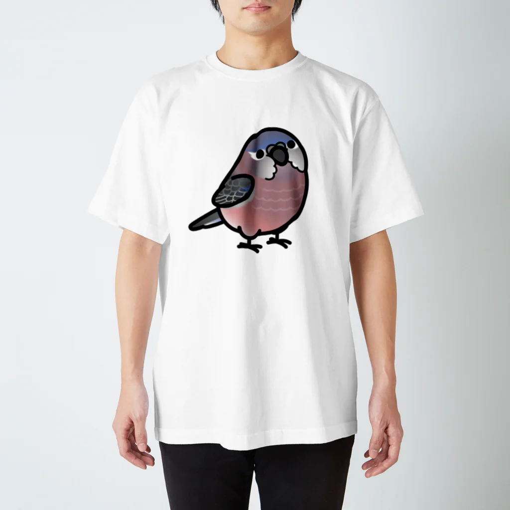 Cody the LovebirdのChubby Bird　アキクサインコ スタンダードTシャツ