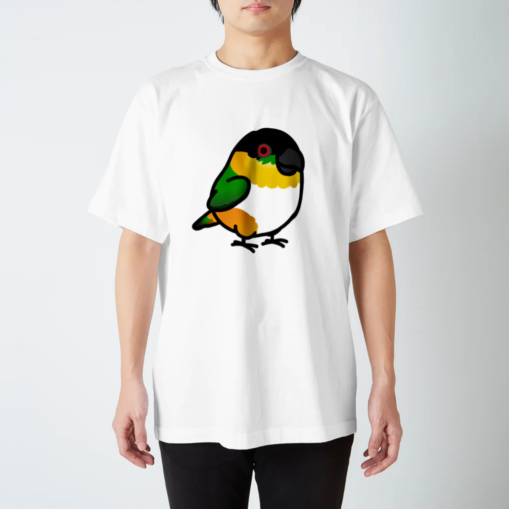 Cody the LovebirdのChubby Bird　ズグロシロハラインコ Regular Fit T-Shirt