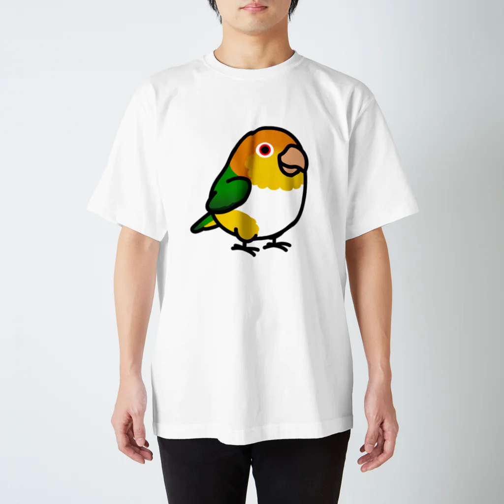 Cody the LovebirdのChubby Bird シロハラインコ スタンダードTシャツ