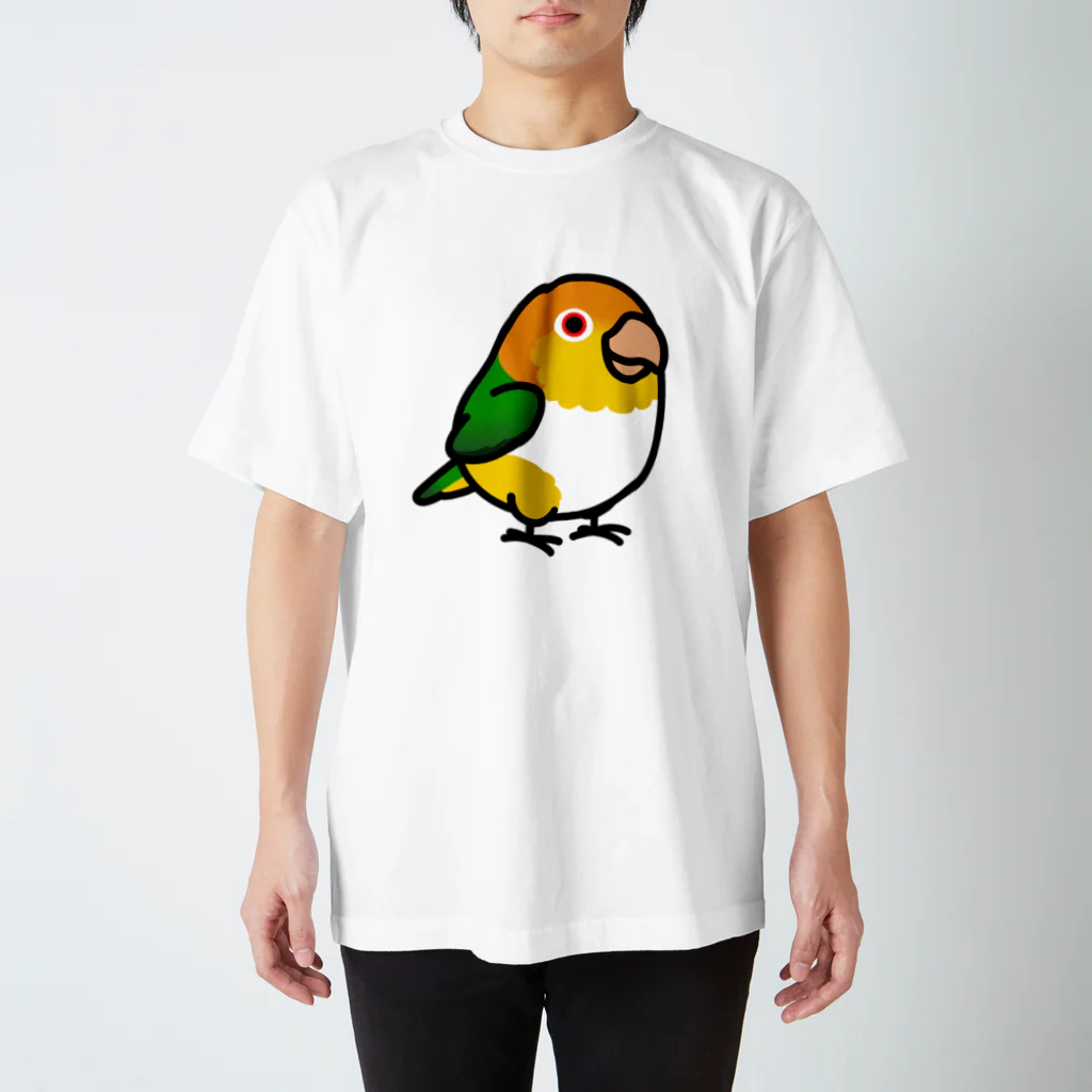 Cody the LovebirdのChubby Bird シロハラインコ Regular Fit T-Shirt