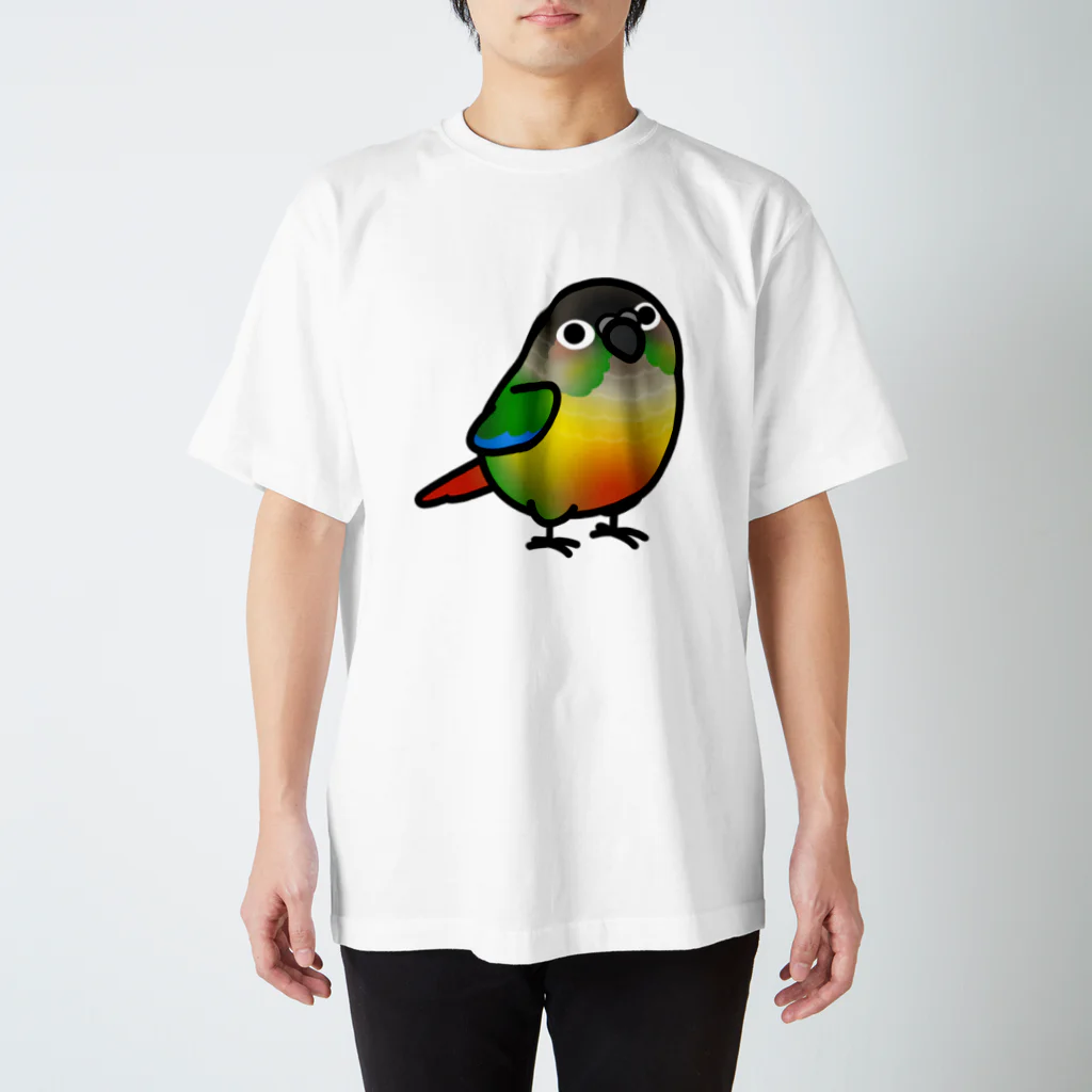 Cody the LovebirdのChubby Bird　ウロコインコ Regular Fit T-Shirt