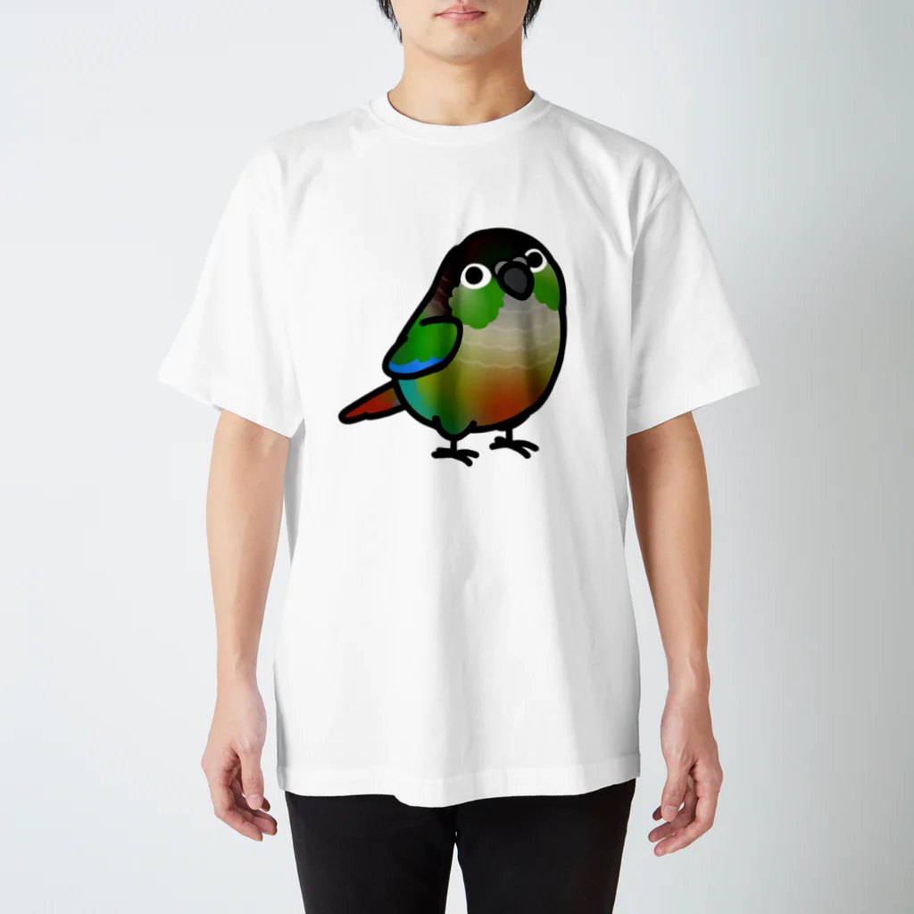 Cody the LovebirdのChubby Bird ウロコインコ スタンダードTシャツ