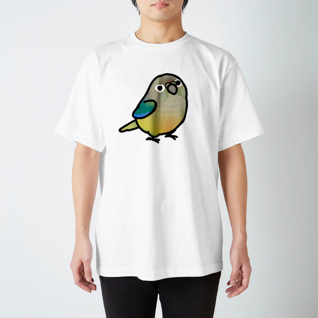 Cody the LovebirdのChubby Bird ウロコインコ Regular Fit T-Shirt