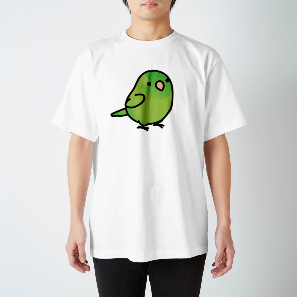 Cody the LovebirdのChubby Bird マメルリハ Regular Fit T-Shirt