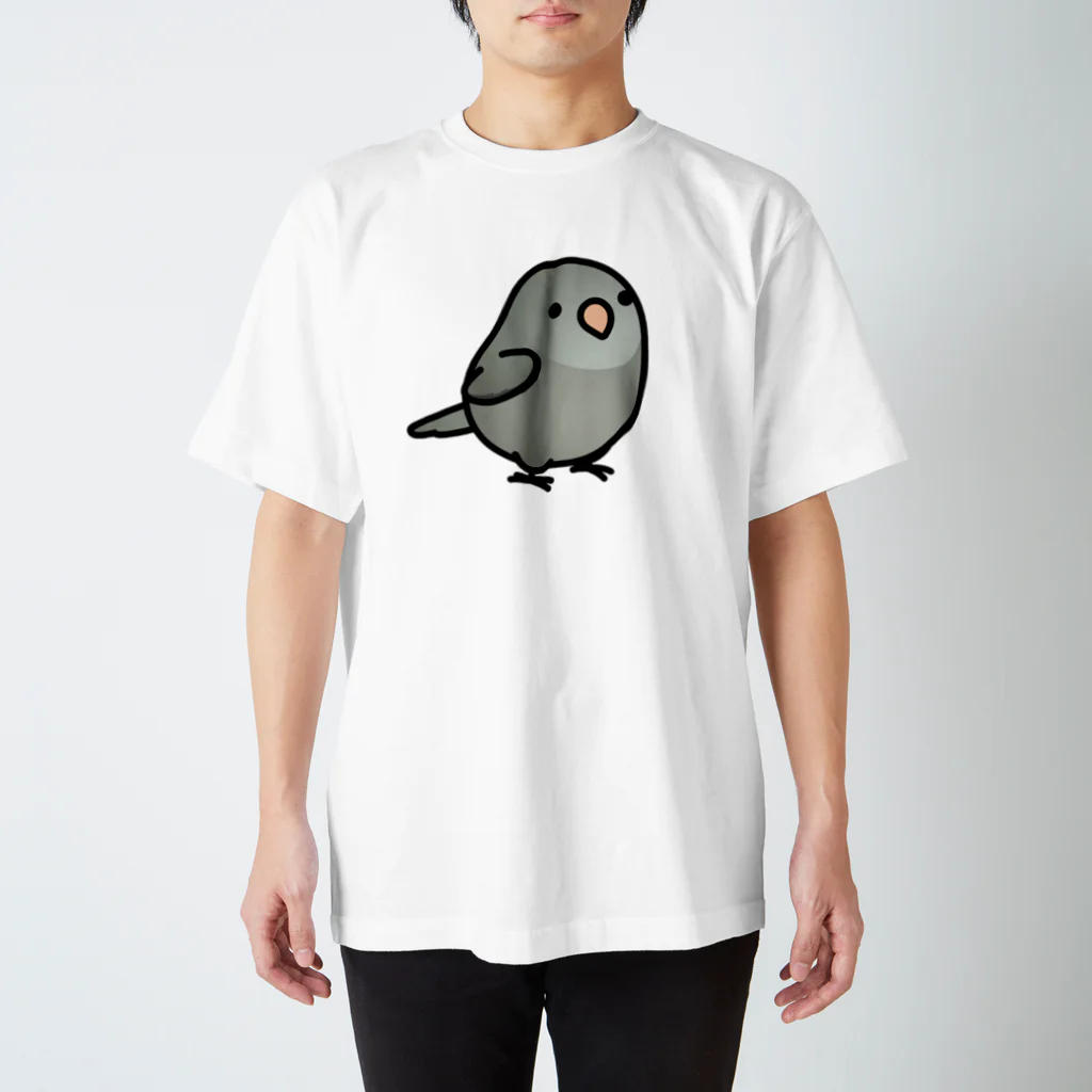 Cody the LovebirdのChubby Bird マメルリハ Regular Fit T-Shirt