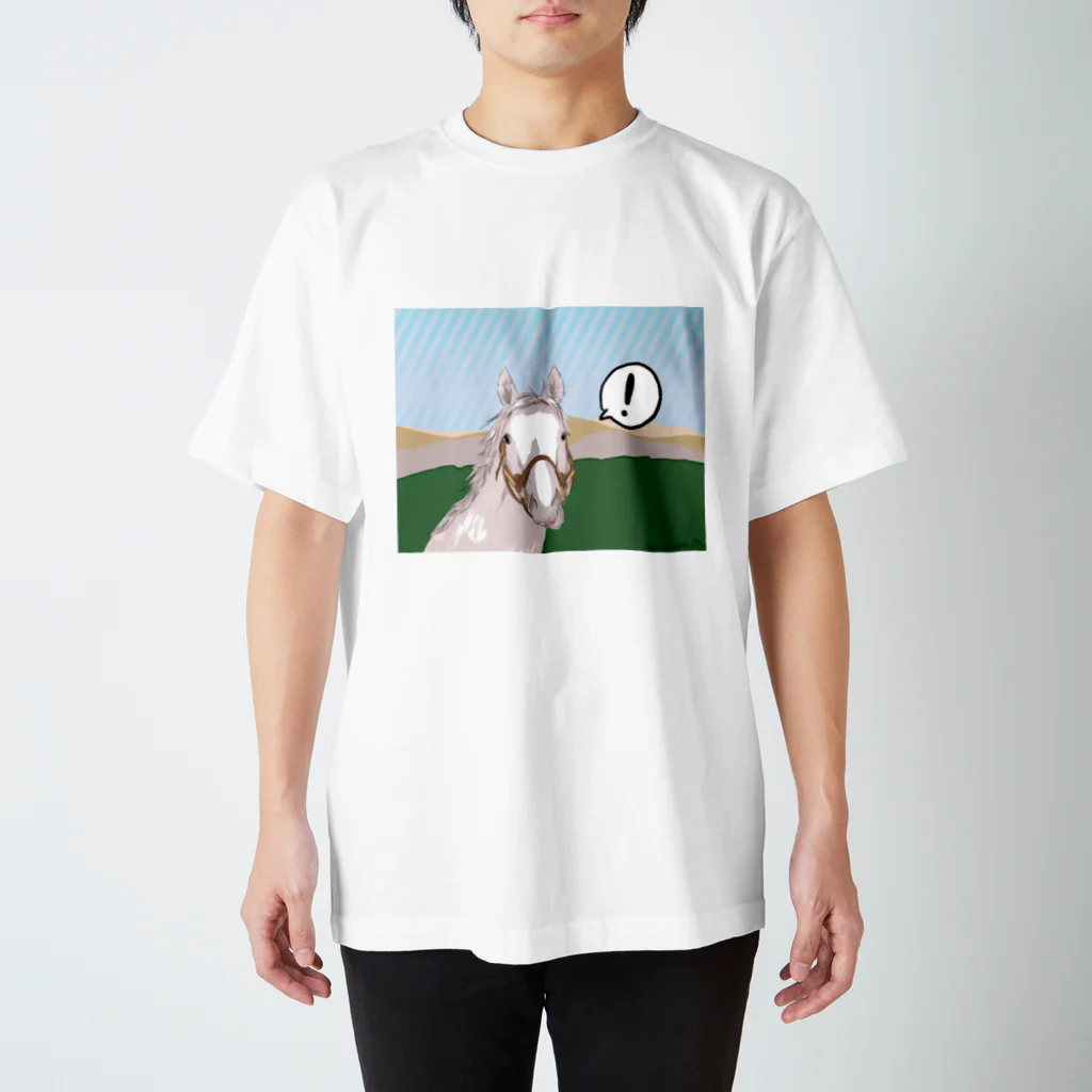 ユルークうーまショップのBUMO景色 スタンダードTシャツ