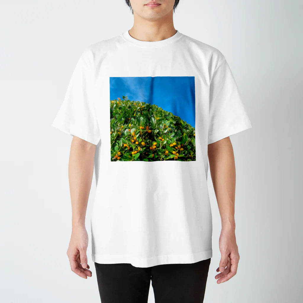 shirado_kazukiの小さな山 スタンダードTシャツ