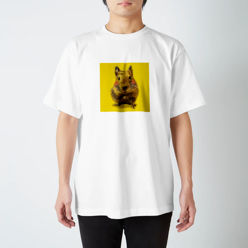 DEGU DEGU PLANET（デグデグ★プラネット）のデグーファンのためのアイテムです Regular Fit T-Shirt