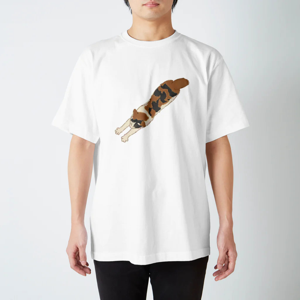 REGIONの伸びるみーちゃん Regular Fit T-Shirt