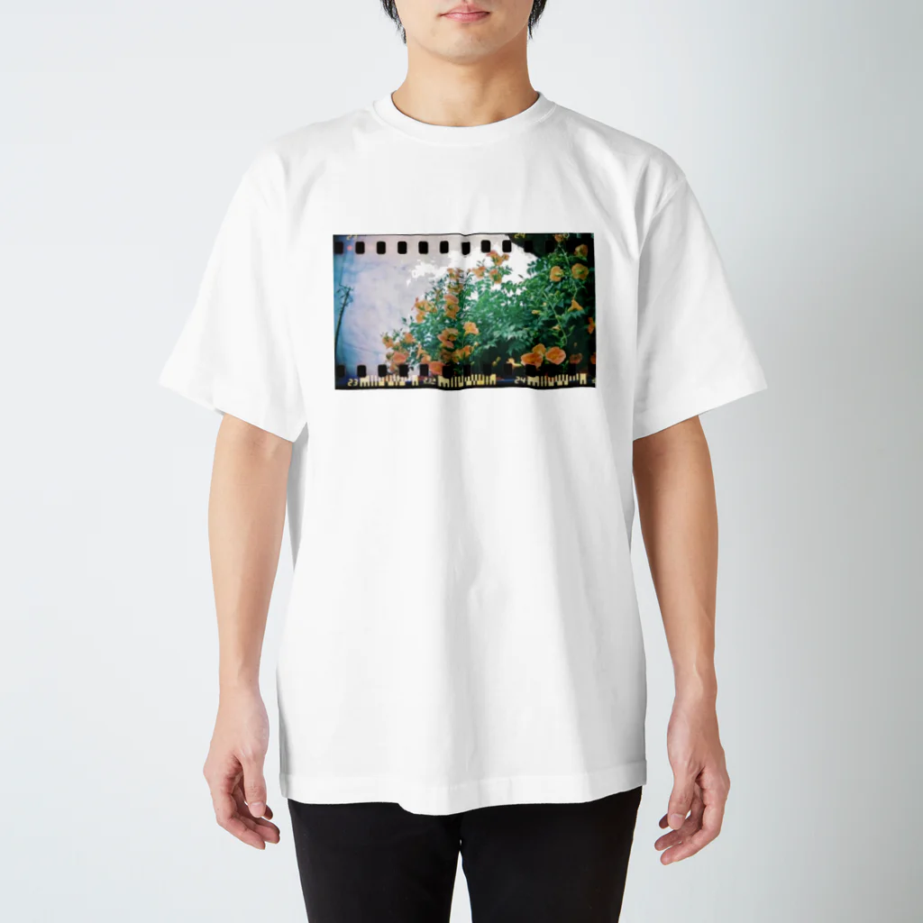 wawacomet*のトイカメラで撮った花と空 スタンダードTシャツ