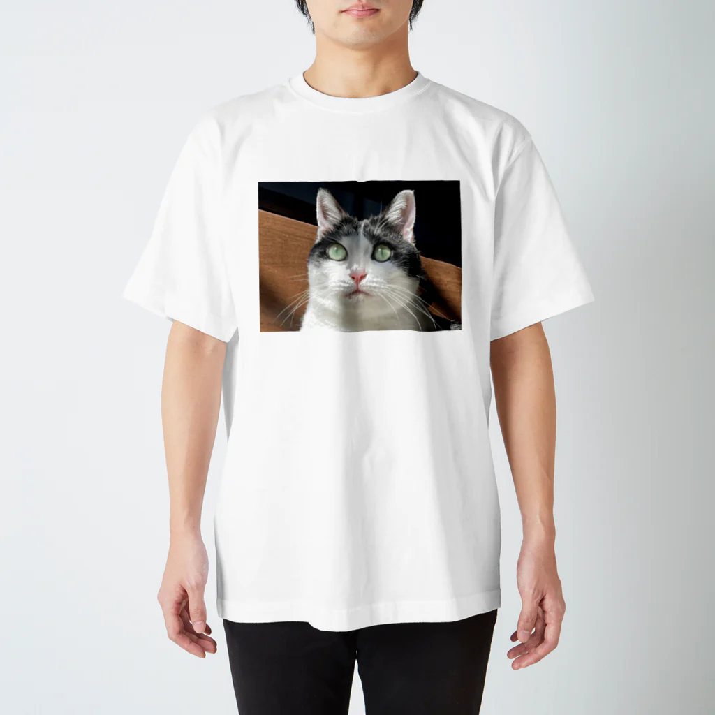 猫太郎の2022年1月28日の猫太郎 スタンダードTシャツ