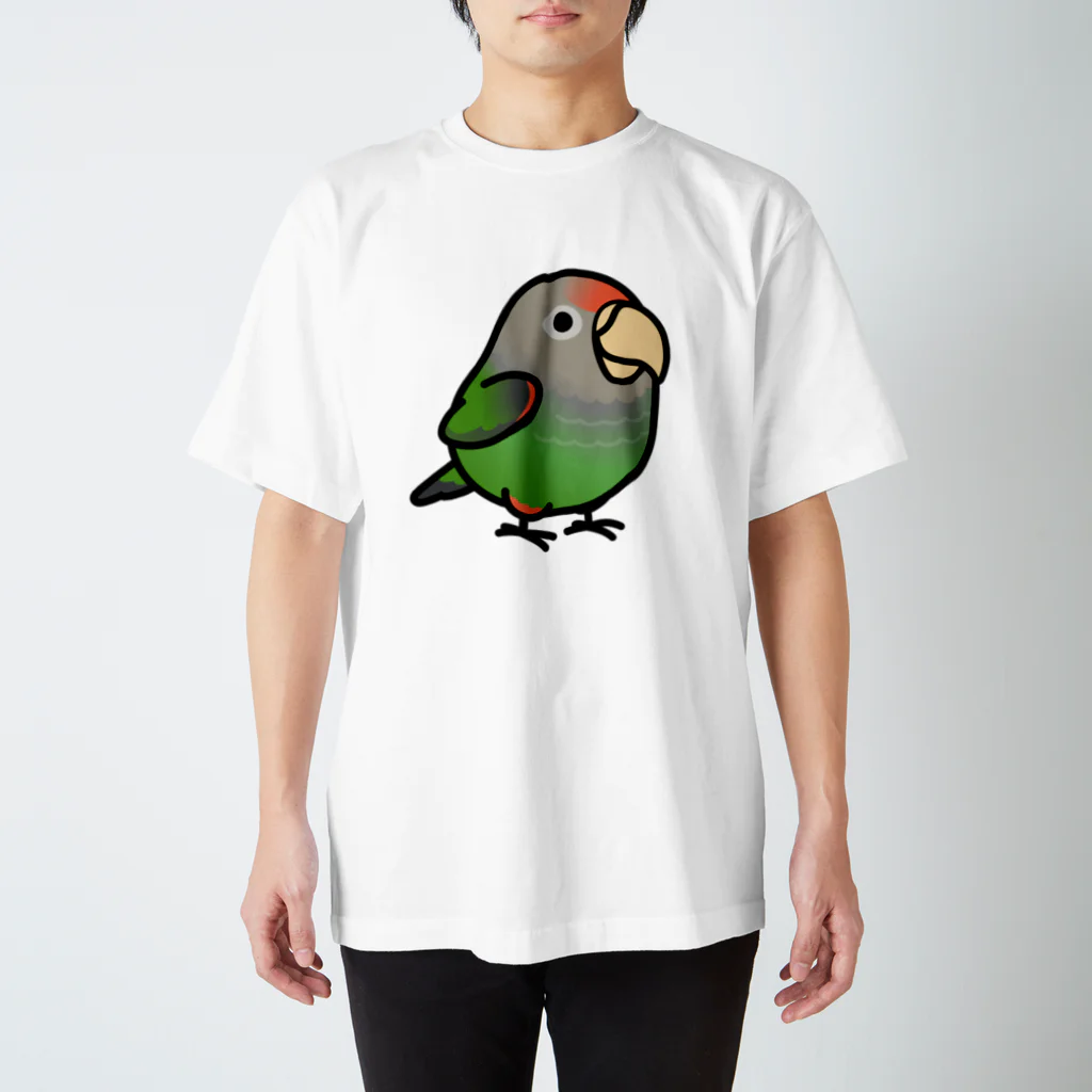 Cody the LovebirdのChubby Bird ハネナガインコ スタンダードTシャツ