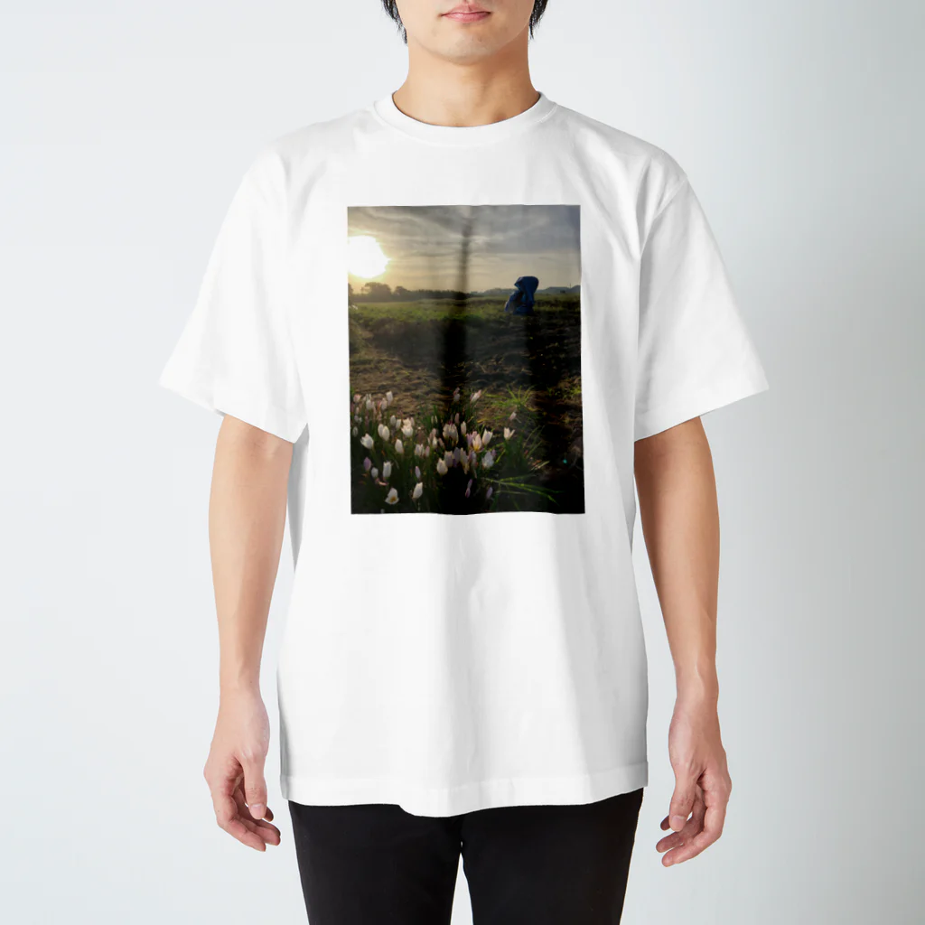 ばにーすぺーの畑の夕焼け　モアイじゃない スタンダードTシャツ