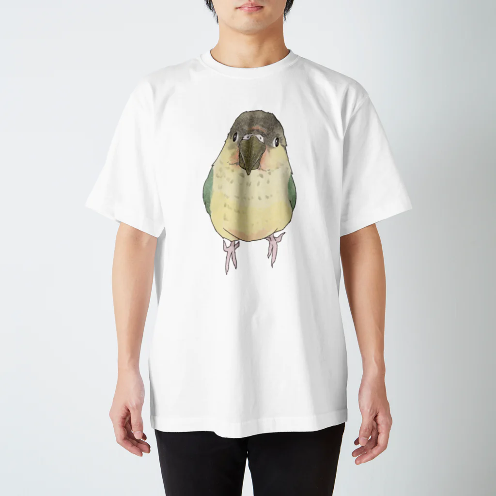 まめるりはことりの可愛いウロコメキシコインコちゃん【まめるりはことり】 スタンダードTシャツ