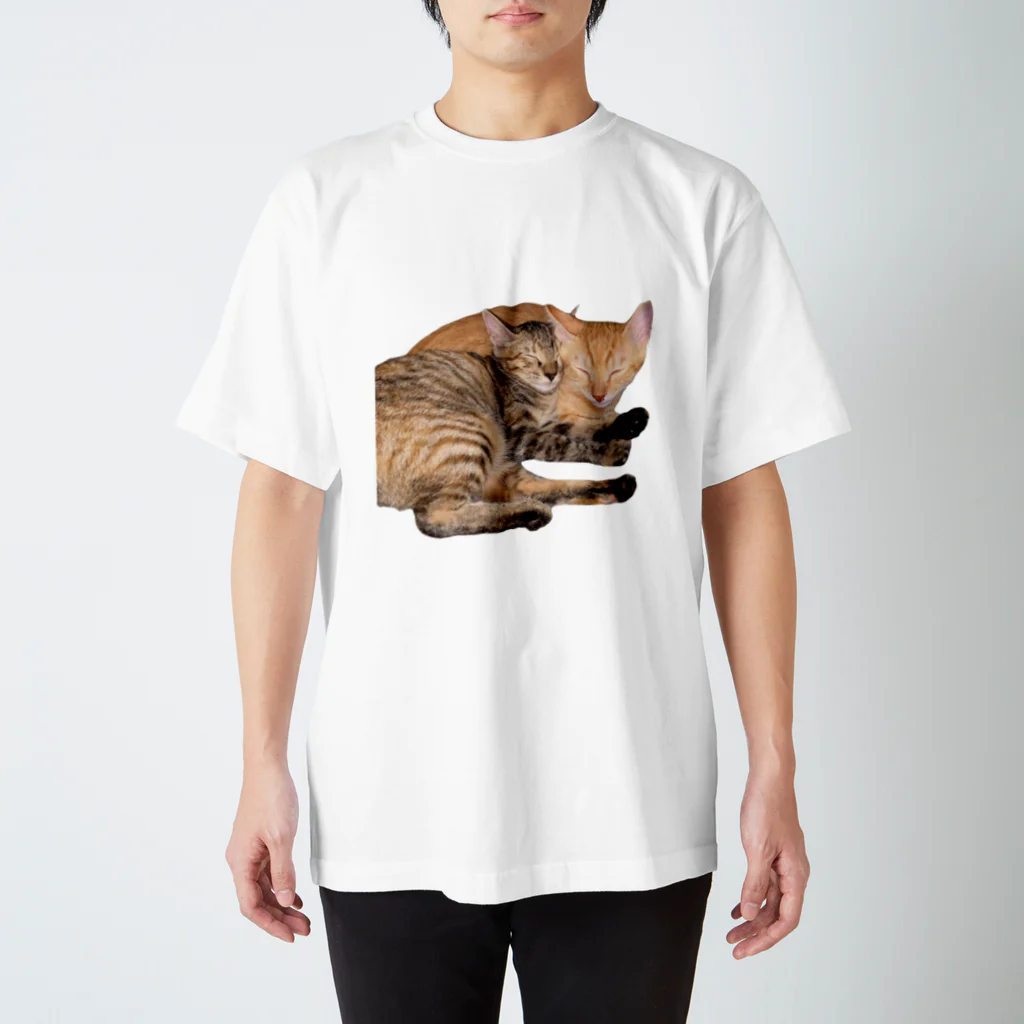 ChoboTora24の眠り猫ちゃん達 スタンダードTシャツ